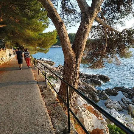 דירה Saul