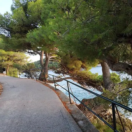 Saul Apartamento Cavtat