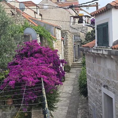 Saul * Cavtat